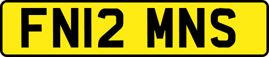 FN12MNS