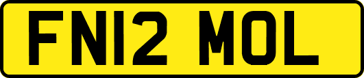 FN12MOL