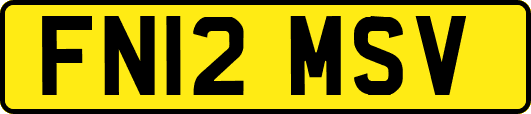 FN12MSV