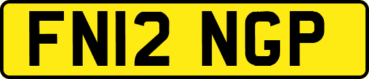FN12NGP
