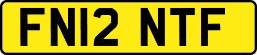 FN12NTF