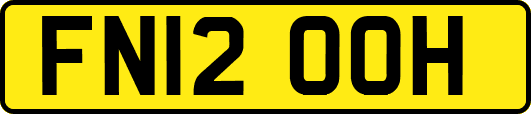FN12OOH