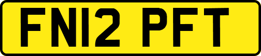 FN12PFT