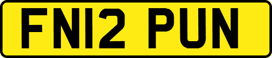 FN12PUN
