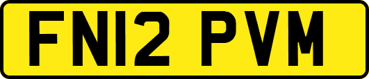 FN12PVM