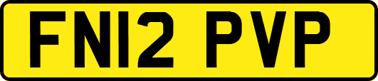 FN12PVP