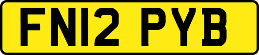FN12PYB