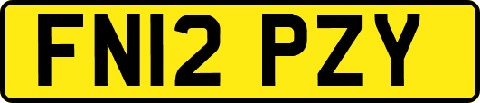 FN12PZY