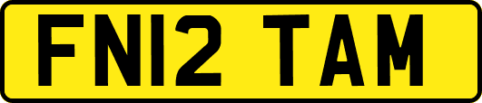FN12TAM