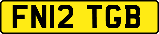 FN12TGB