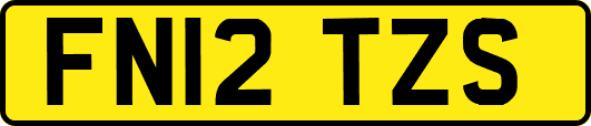 FN12TZS