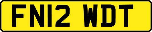 FN12WDT
