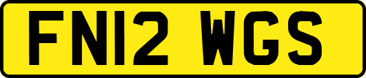 FN12WGS