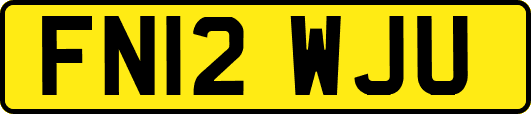 FN12WJU