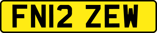 FN12ZEW
