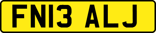 FN13ALJ