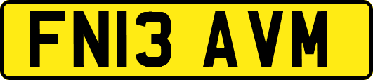 FN13AVM