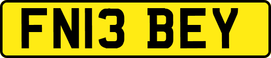 FN13BEY