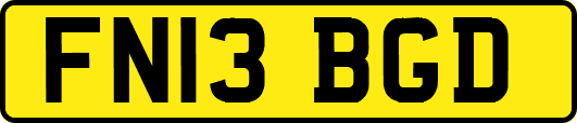 FN13BGD