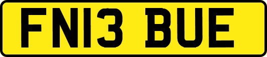 FN13BUE