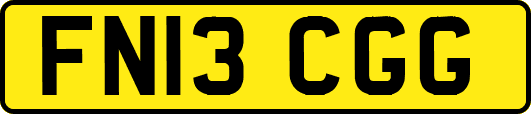 FN13CGG