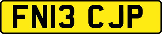 FN13CJP