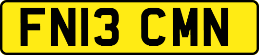 FN13CMN