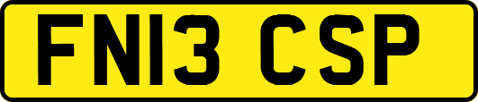FN13CSP