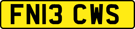 FN13CWS