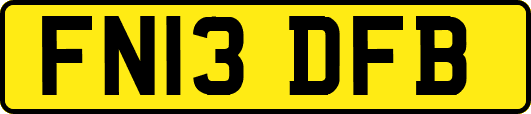 FN13DFB