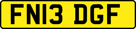FN13DGF