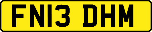 FN13DHM