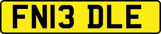 FN13DLE