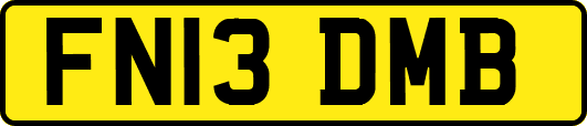 FN13DMB