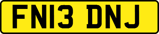 FN13DNJ