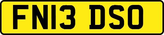 FN13DSO