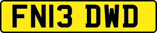 FN13DWD