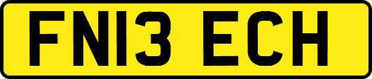 FN13ECH