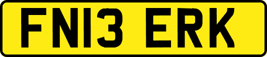 FN13ERK