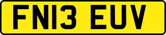 FN13EUV