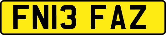 FN13FAZ