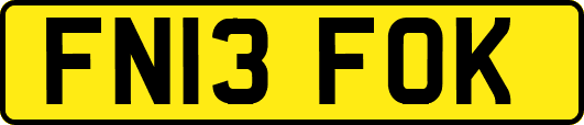 FN13FOK