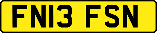 FN13FSN