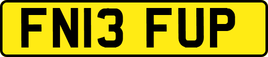 FN13FUP