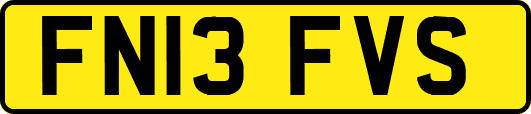 FN13FVS
