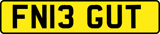 FN13GUT