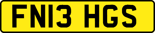 FN13HGS