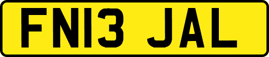 FN13JAL