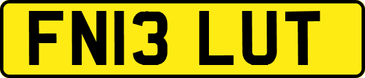 FN13LUT