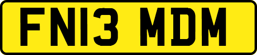 FN13MDM